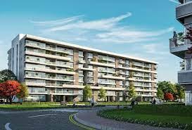  Compound Scenario New Capital